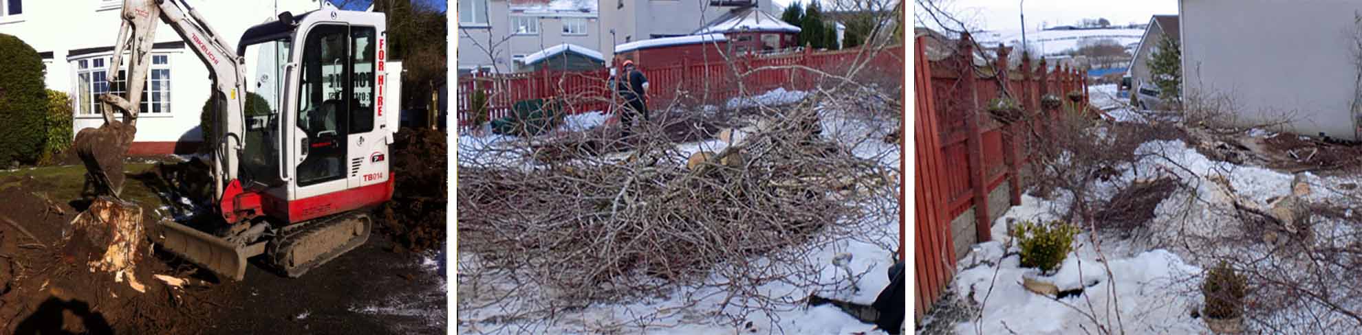 Tree Felling Woodside